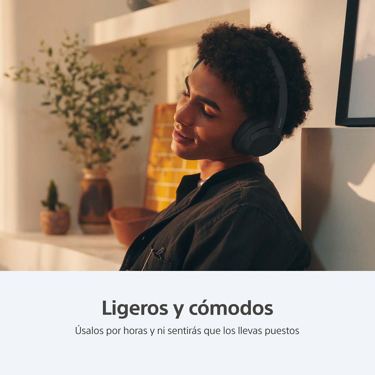 Sony Audífonos Inalámbricos WH-CH720N/BZ Negro