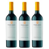 Vino Tinto Monte Xanic Cabernet Sauvignon 3/750ml