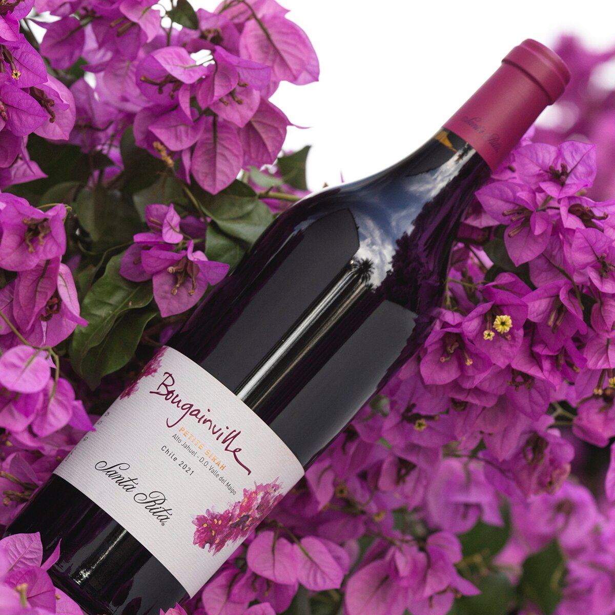 Vino Tinto Santa Rita Bougainville Petite Sirah 750 ml