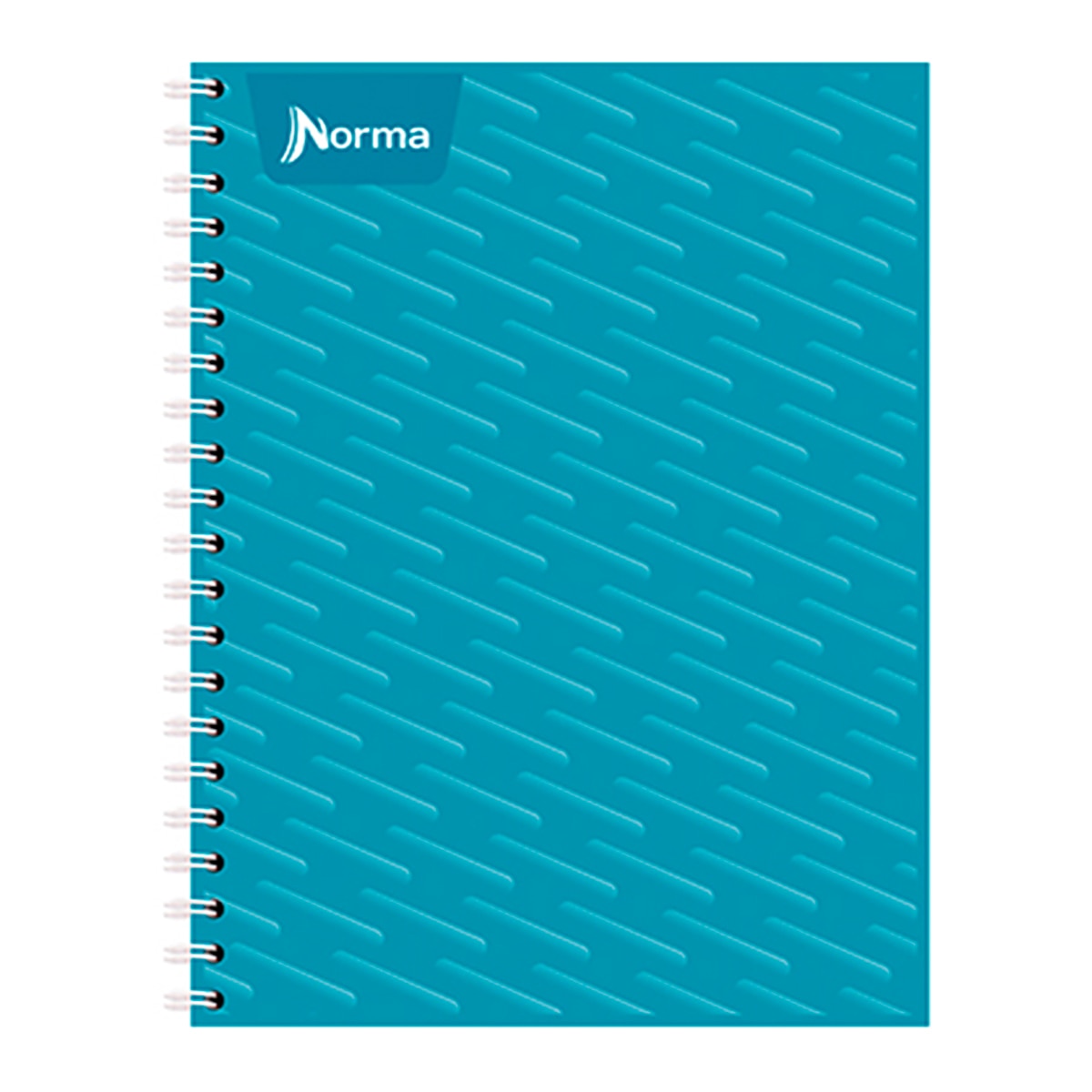 Norma cuaderno profesional 100 hojas