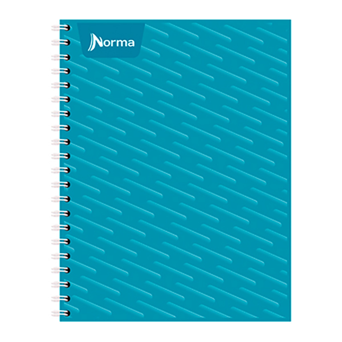 Norma cuaderno profesional 100 hojas