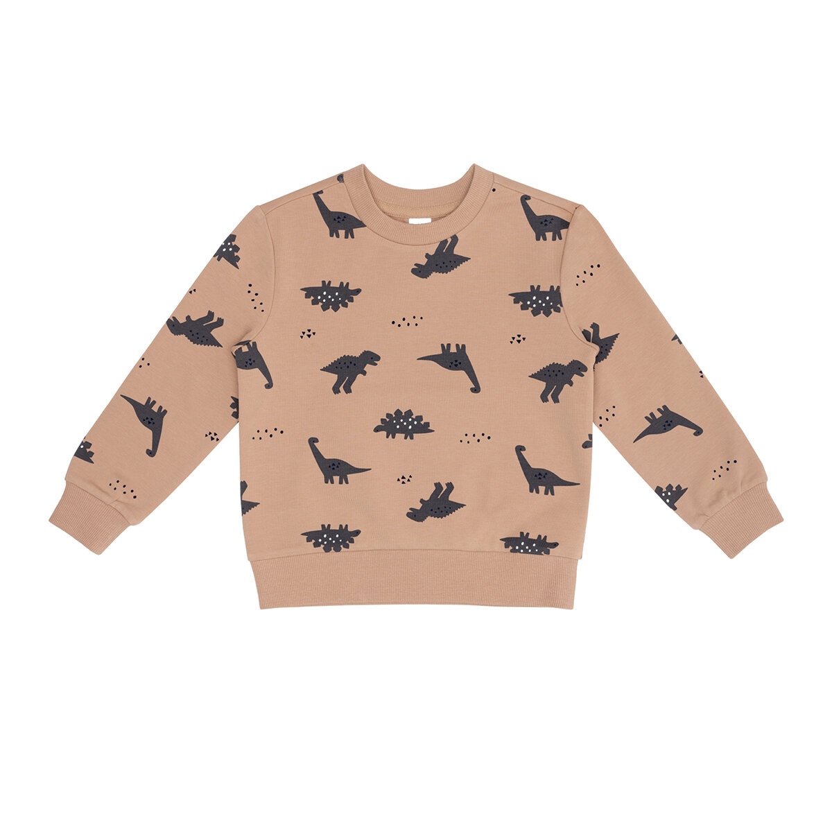 Pekkle Conjunto 4 piezas para Niños y Niñas Dinosaurios 4 Años Pekkle Conjunto 4 piezas para Niños y Niñas Dinosaurios 4 Años