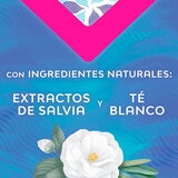 Saba Toallas Femeninas Protección V 100 pzas