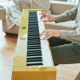 Casio Privia Piano Digital Casio Privia Piano Digital