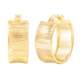 Aretes, Arracadas de Oro Amarillo de 14kt