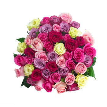 Chiltepec, Bouquet de 48 Rosas Multicolor