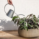 Over & Back, Pillarbloom Maceta de fibra de arcilla color arena.