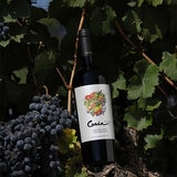 Vino Tinto Gaia Malbec Orgánico 750 ml