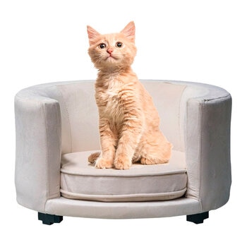 Maypet Sillón Forrado de Terciopelo para Mascota Pequeña