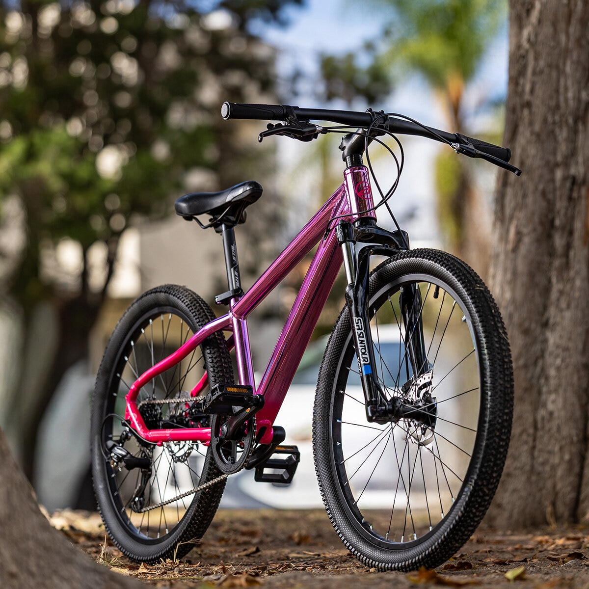 Bicicleta de Montaña R24 Alubike Sierra Rosa