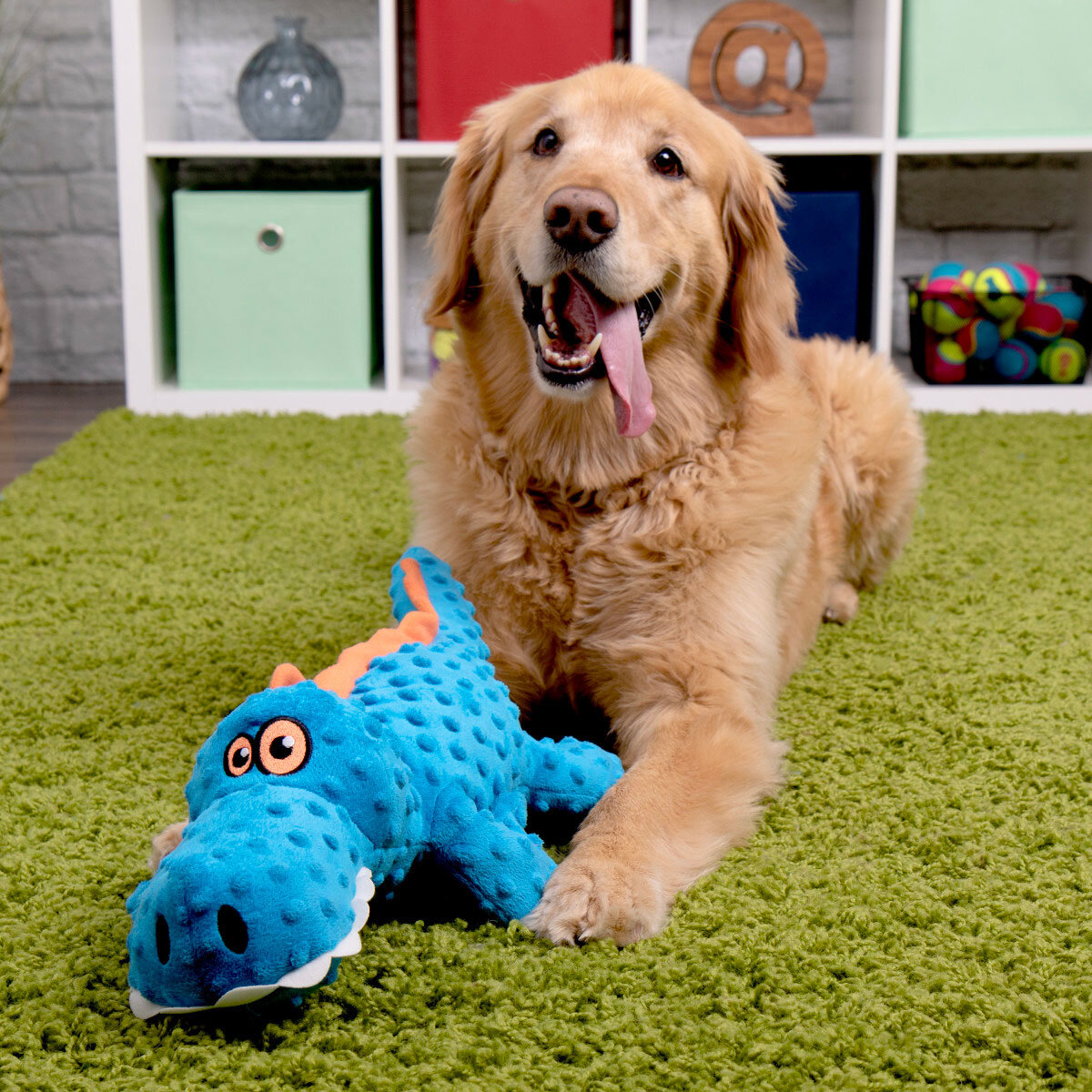 Go Dog Juguete para Perro 1 pza