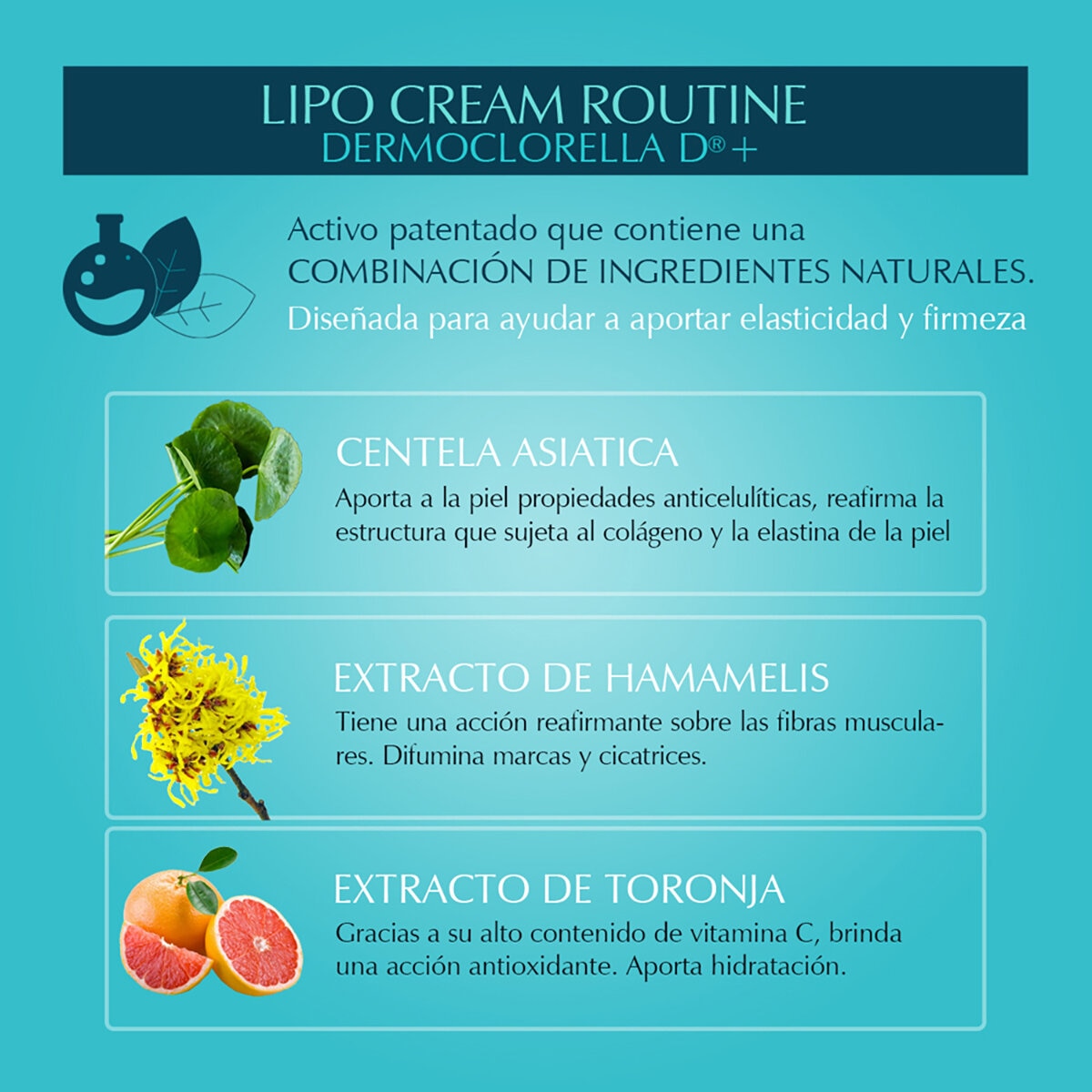 Marie D´Argan, Crema Reductora Lipo, 454 ml