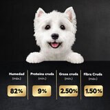 Cesar Alimento Húmedo para Perro Multisabor 24 pzas de 75 gr
