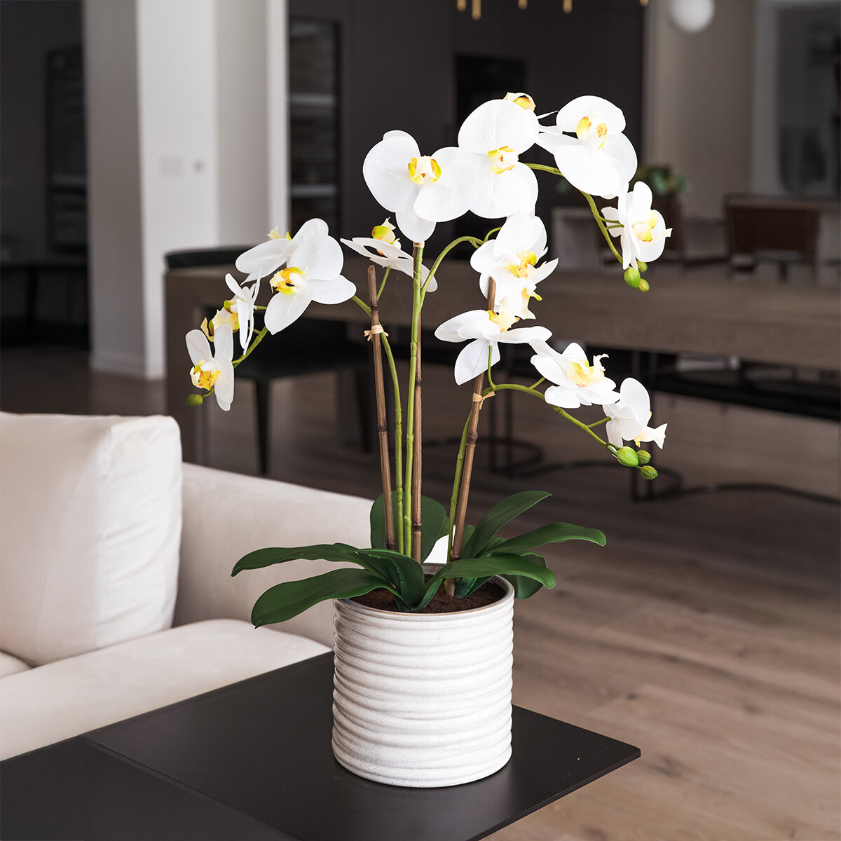 CG Hunter, Arreglo de Orquídeas de Aspecto Natural Blanca