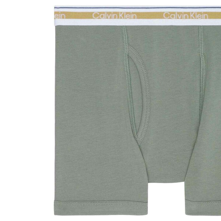 Calvin Klein Ropa Interior para Niños 6 piezas Niños 8 / 10 Años Calvin Klein Ropa Interior para Niños 6 piezas Niños 8 / 10 Años