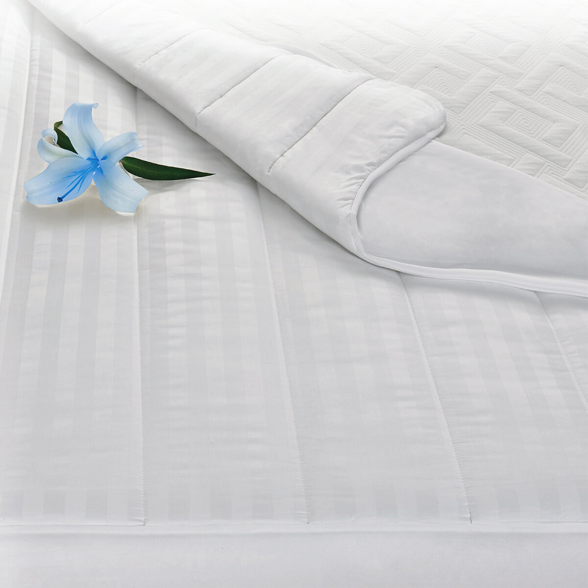 Sealy, Protector de Colchón Peaceful Sealy, Protector de Colchón Peaceful