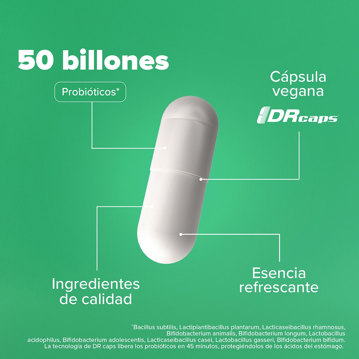 Birdman Premium Probiotic 62 Cápsulas