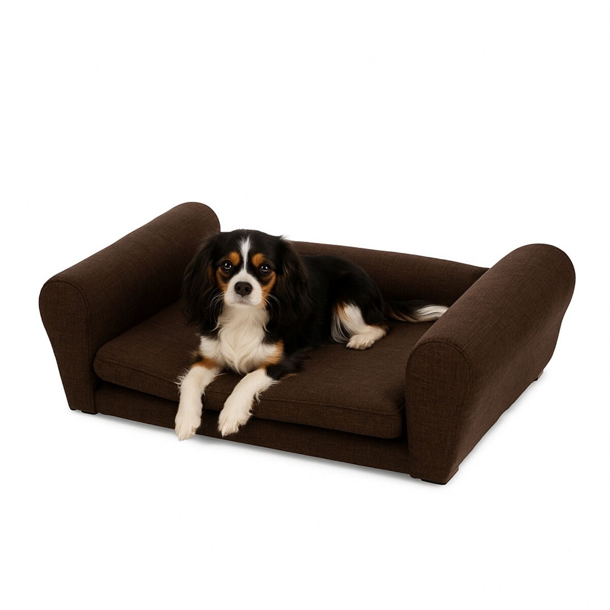 Maypet, Sillón/Cama Tamaño Pequeño, Estilo Minimalista para Mascota, Color Café o Color Verde Maypet, Sillón/Cama Tamaño Pequeño, Estilo Minimalista para Mascota, Color Café o Color Verde