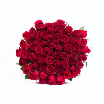 Chiltepec, Bouquet de 48 Rosas Color Rojo