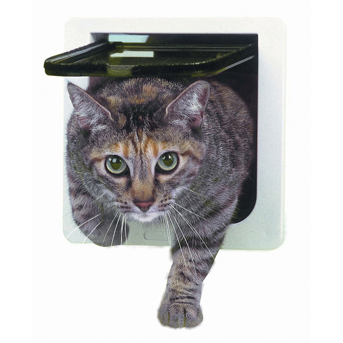 Ideal Pet Products puerta chica para gato