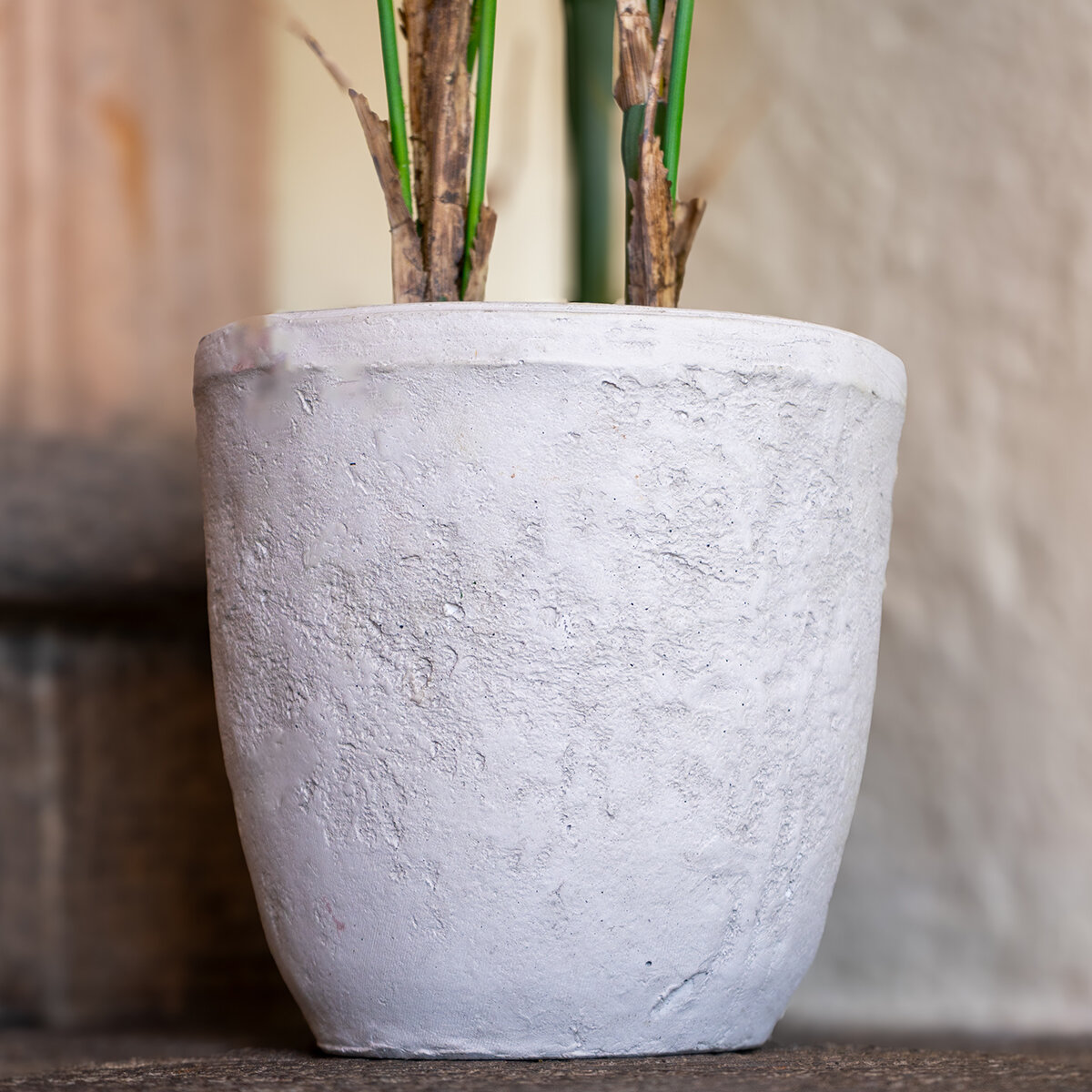 Apariencia Natural, Palmera Areca Artificial