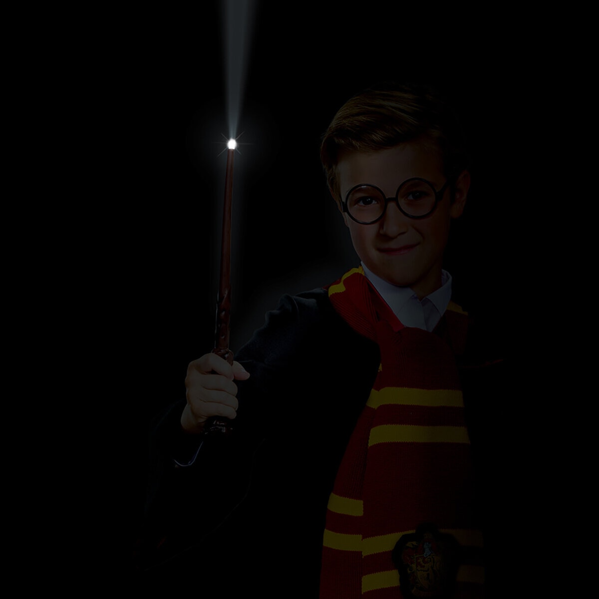 Juego de Disfraz para Niños, Harry Potter 7/8