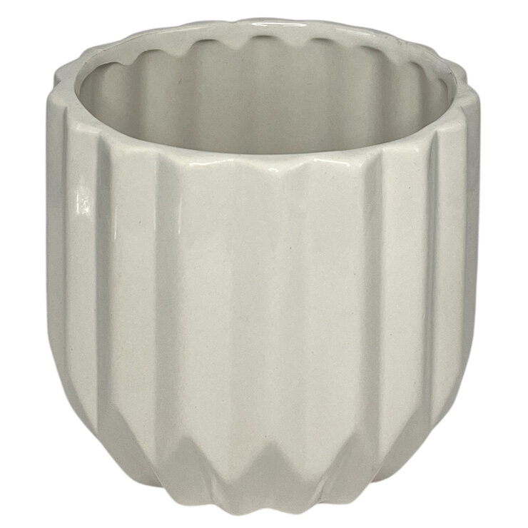 PREVENTA Chiltepec, Orquidea Sorpresa con Maceta para Día de las Madres