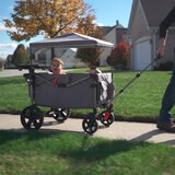 BusyBee Carrito de Paseo Metro