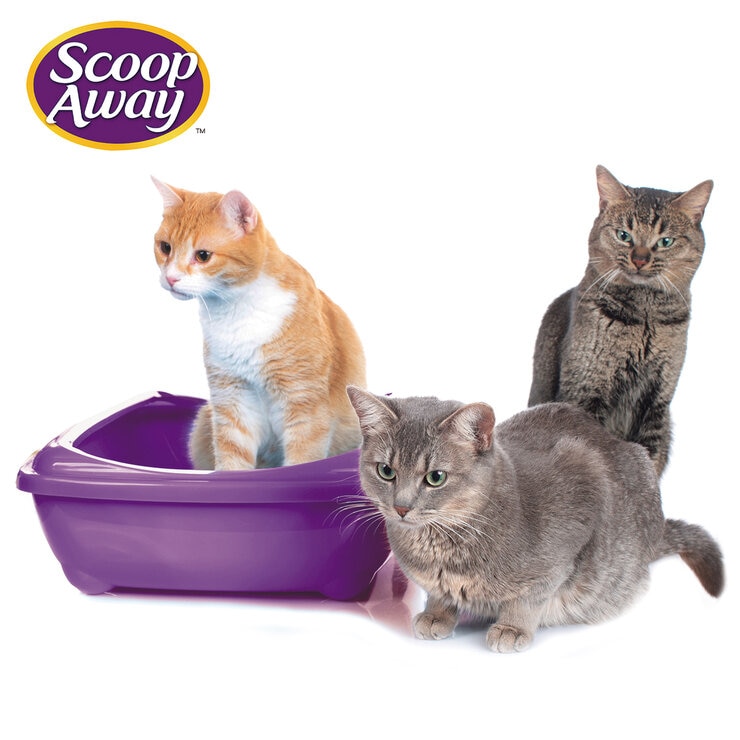 Scoop Away Complete Arena para Gatos 19 kg