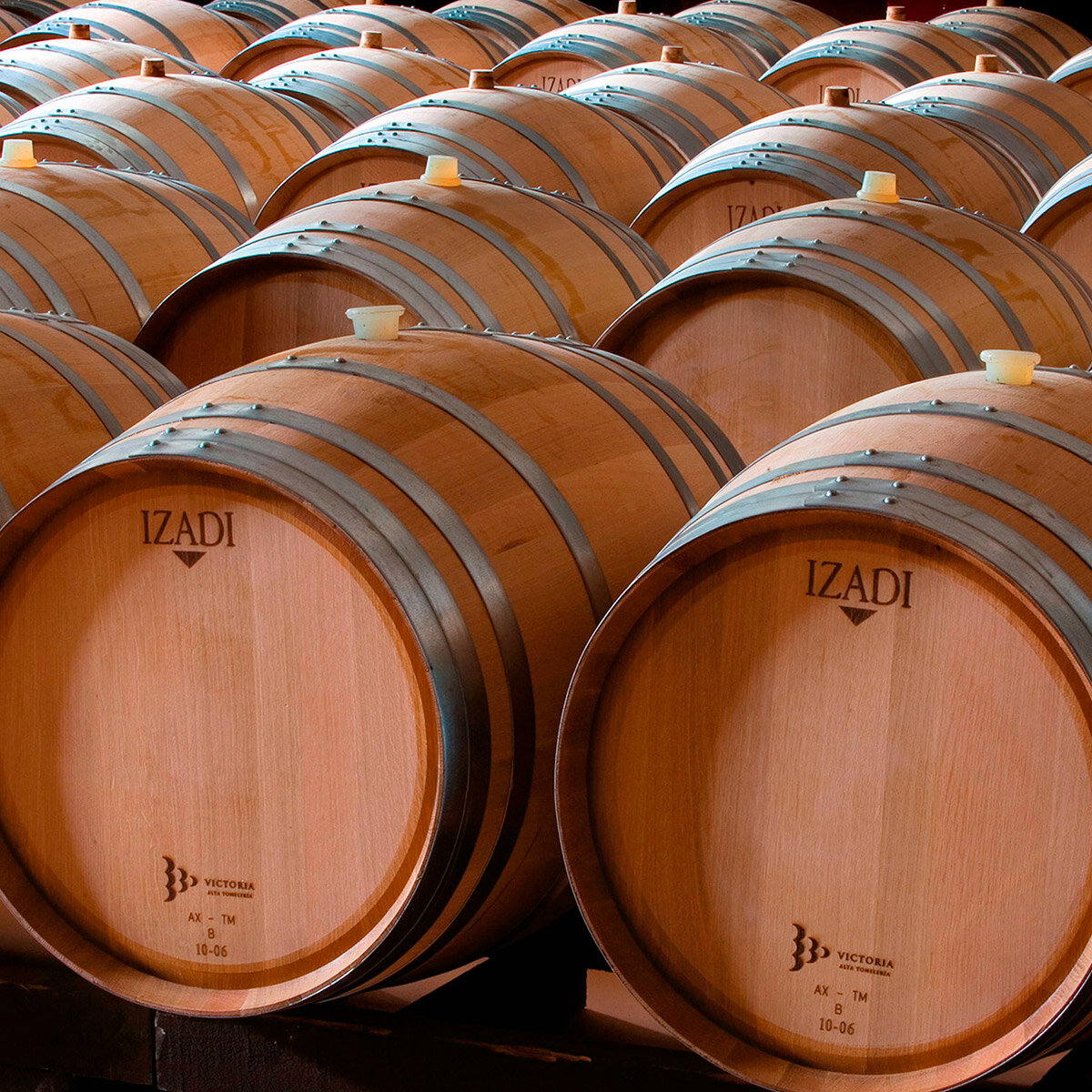 Vino Tinto Izadi Crianza 750ml