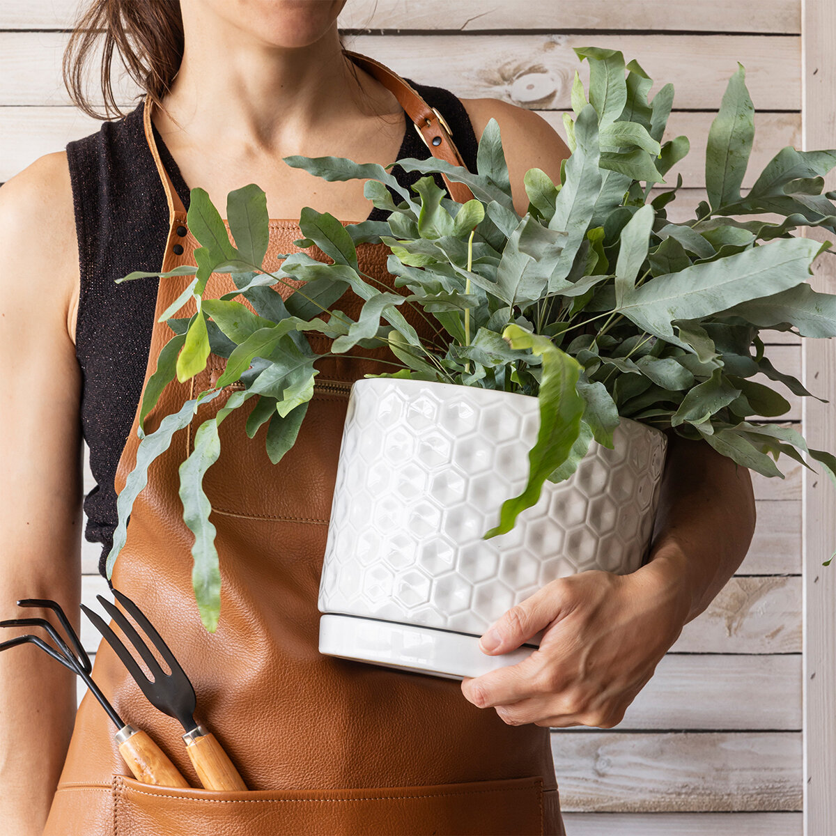 Over & Back, Set de 2 Macetas de Jardín con Platos