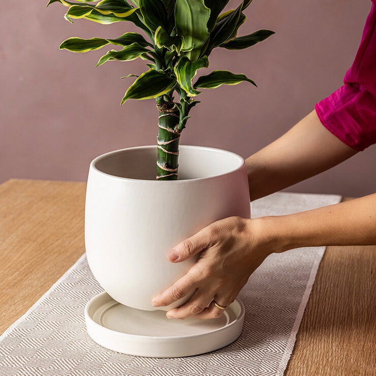 Over & Back, Noah Maceta de Cerámica con Plato