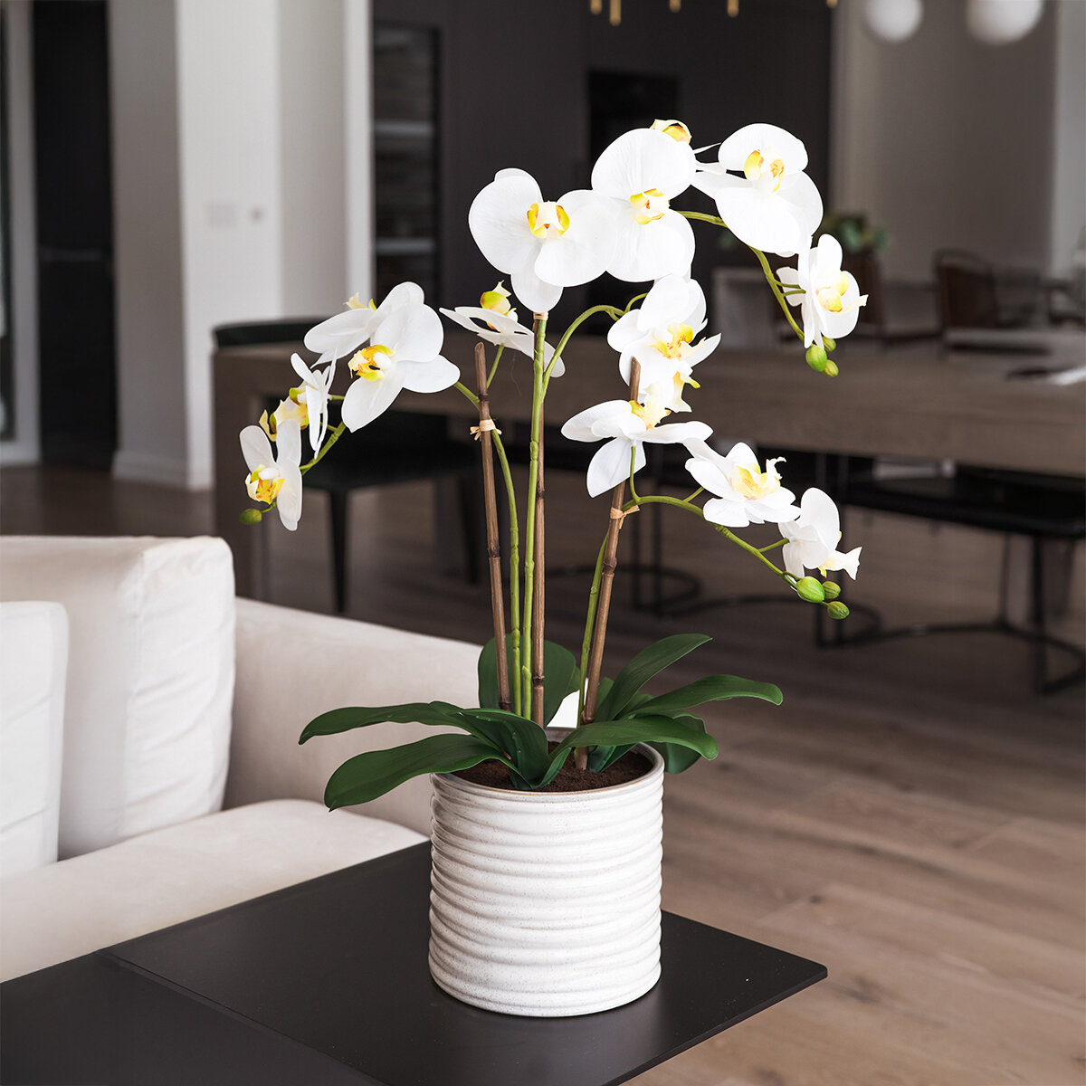 CG Hunter, Arreglo de OrquÍdeas de Aspecto Natural