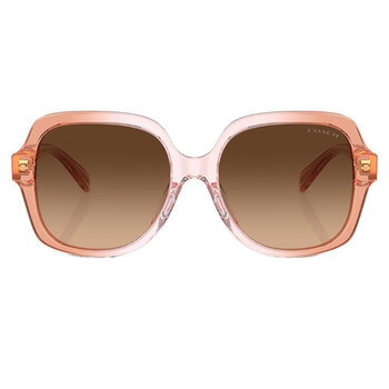 Coach 0HC8395U58127454 Lentes de Sol