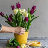 Over & Back, Chelsea Set de 2 Macetas de Cerámica Amarillas