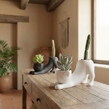 Estudio Floga, Catus Maceta Gato Set de 2 piezas