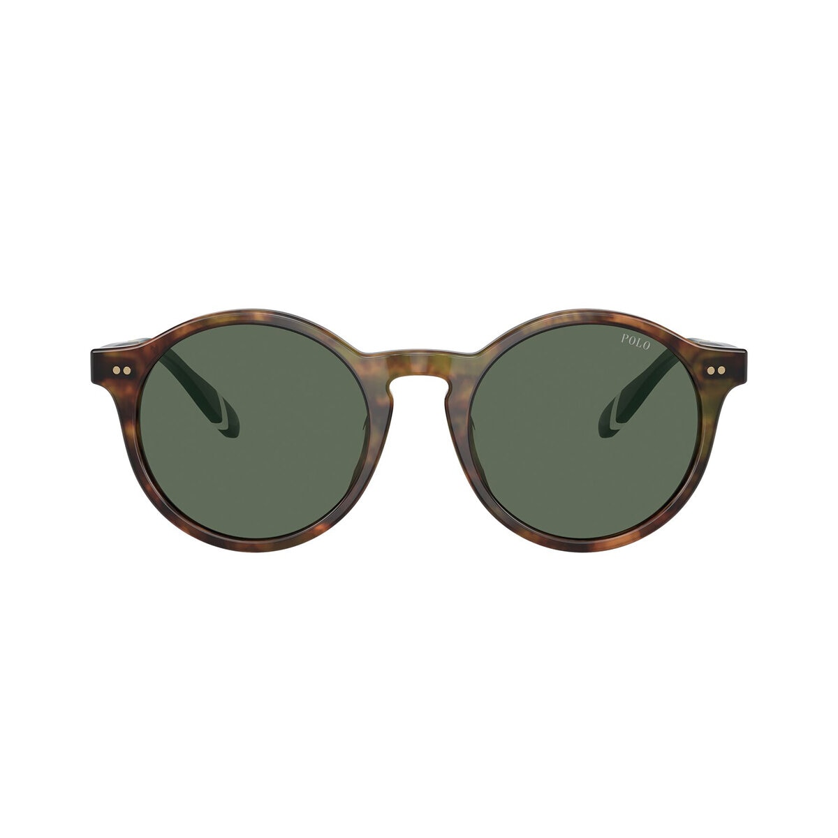 Polo Ralph Lauren 0PH4204U50177153 Lentes de Sol