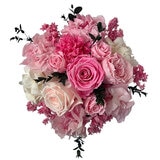 Alive, Bouquet Mix Rosa, Caja Negra, Duración 6 Meses. Alive, Bouquet Mix Rosa, Caja Negra, Duración 6 Meses.