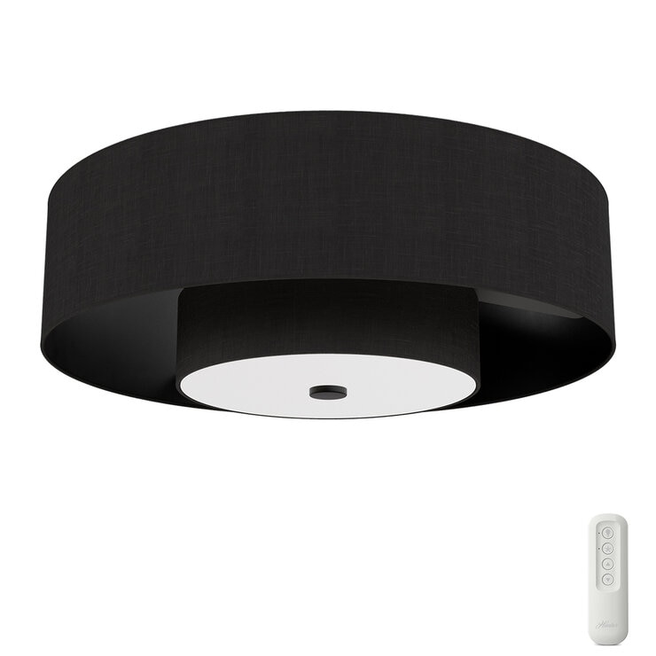 Hunter, Ventilador Fandelier Color Negro Mate Hunter, Ventilador Fandelier Color Negro Mate