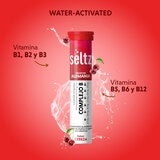 Seltz Complejo B 3 Tubos con 20 Tabletas Efervescentes c/u Sabor Cereza Seltz Complejo B 3 Tubos con 20 Tabletas Efervescentes c/u Sabor Cereza