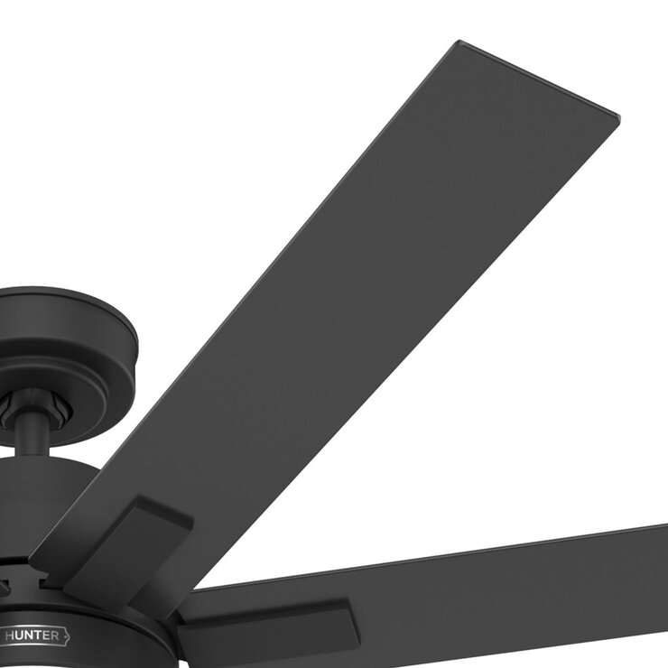 Hunter, Ventilador Loflin Color Negro