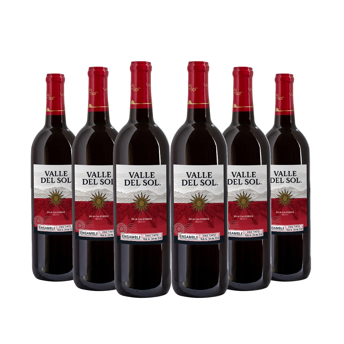 Vino Tinto Valle del Sol 6/750ml