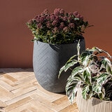 Over & Back, Tribes Maceta de Fibra de Arcilla Gris
