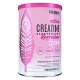 Birdman Creatina Refresher Pink Lemonade 500g Birdman Creatina Refresher Pink Lemonade 500g