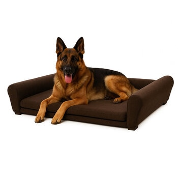 Maypet, Sillón/Cama Tamaño Grande, Estilo Minimalista para Mascota, Color Café o Color Verde