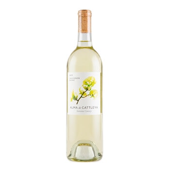 Vino Blanco Alma de Cattleya 750ml