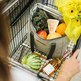 Out Of The Woods Lonchera Dolphin