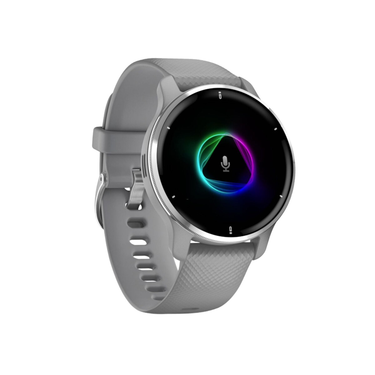 Garmin Smartwatch Venu 2 Plus con GPS 43mm Gris