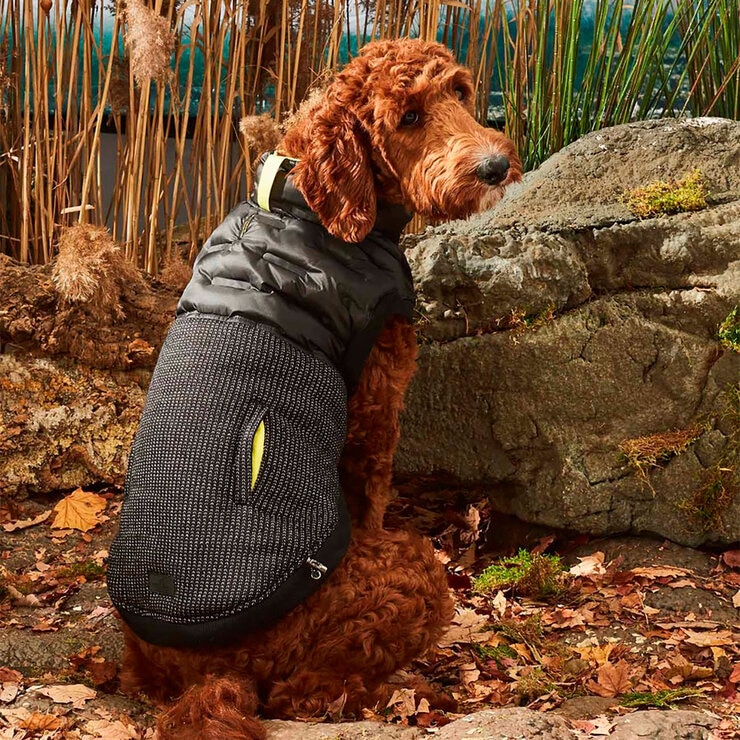 Hotel Doggy Hybrid Chaleco Negro con Amarillo Chico para Perro 1 pza