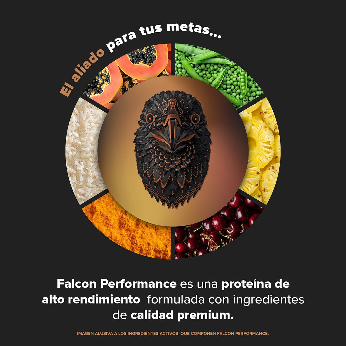 Birdman Falcon Performance Proteína Vegetal Sabor Chocolate 2.1 kg